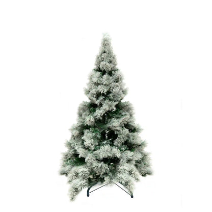 Pino Blanco Nevado, 2.4m