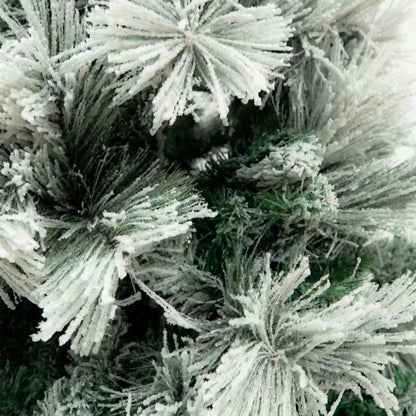 Pino Blanco Nevado, 3m