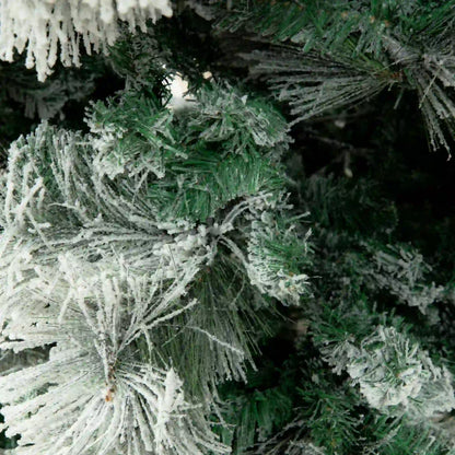 Pino Blanco Nevado, 3m