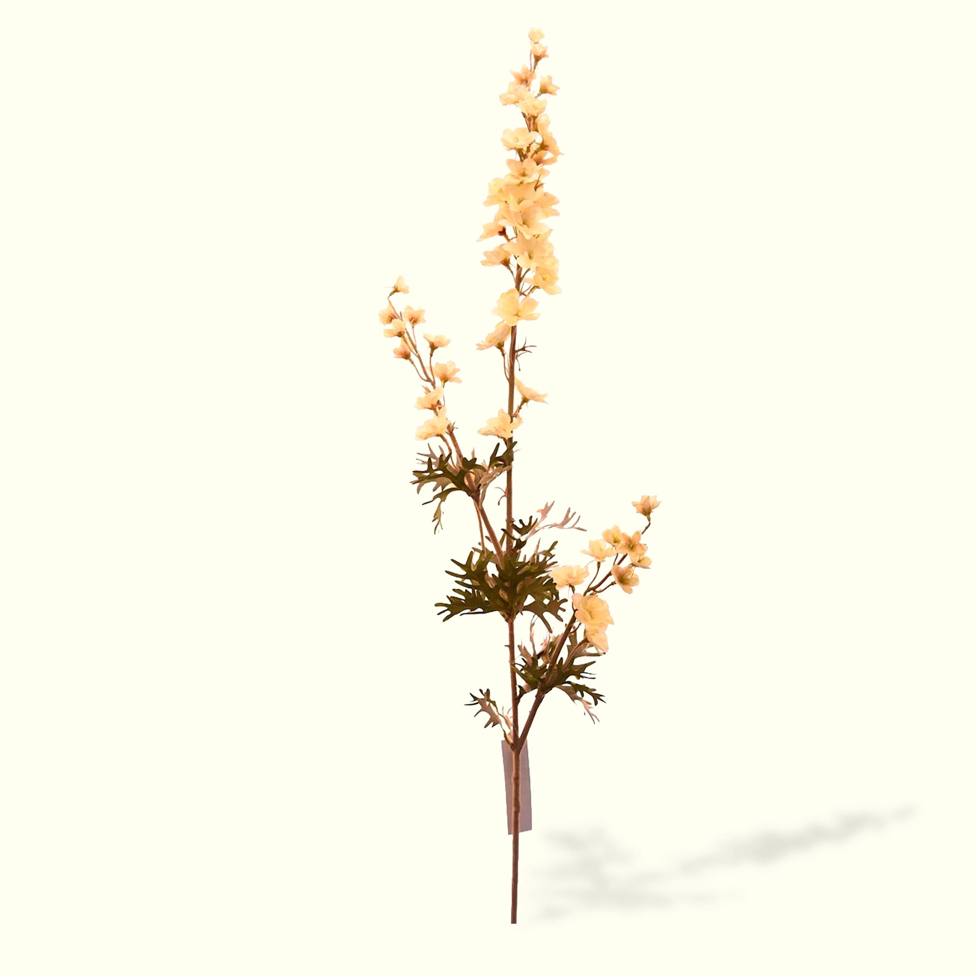 Ramillete Delphinium Blanca
