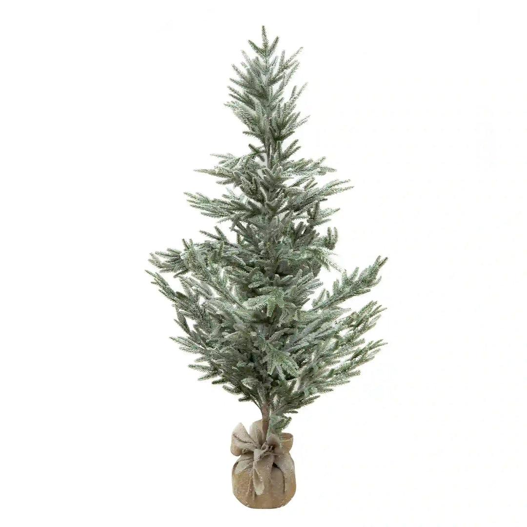 Pino Nevado Cipres, 1.8m